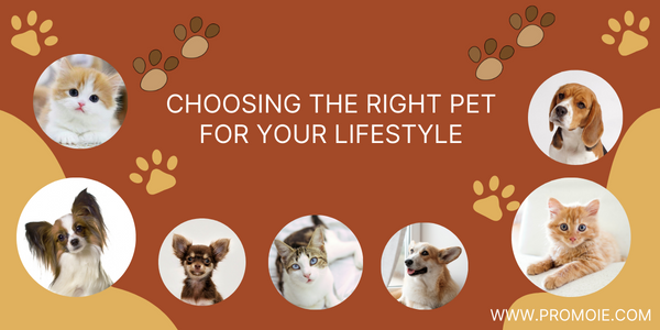 choosing the right pet for your lifestyle